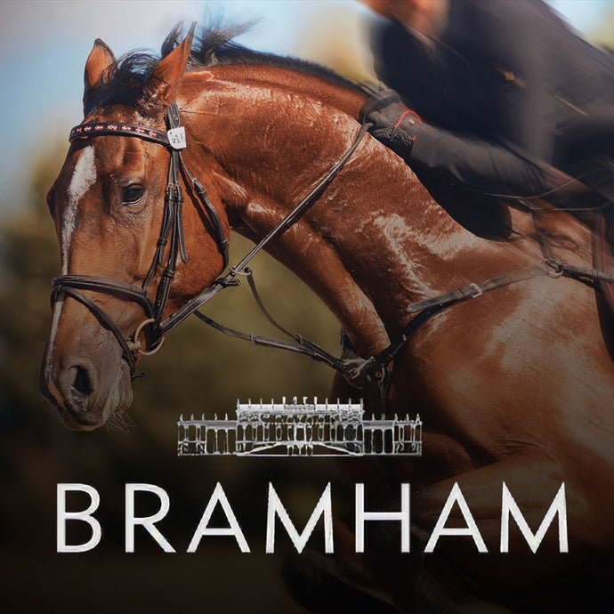 Bramham International Horse Trials Electrical connection